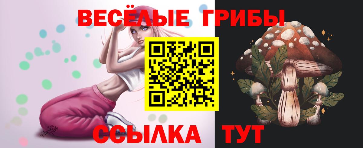 Псилоцибиновые грибы MAGIC MUSHROOMS  Вход с VPN  дарнет шоп  Новоуральск 