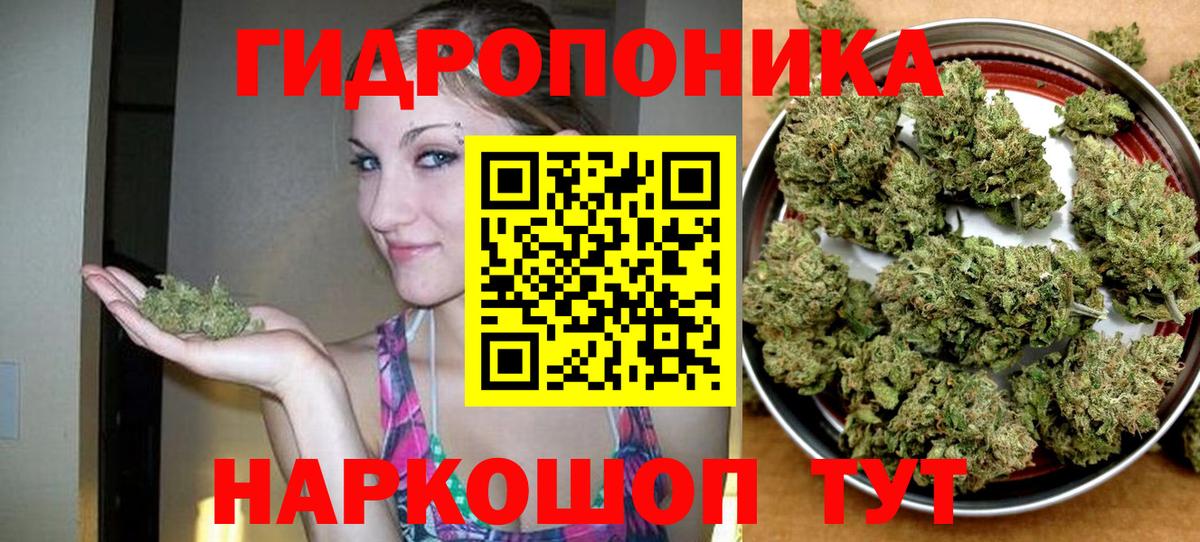 Каннабис индика Новоуральск